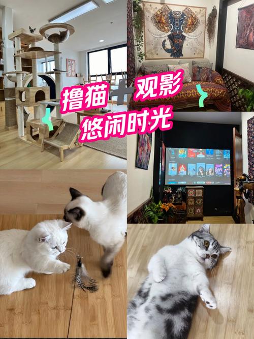 18+视频app下载的相关介绍