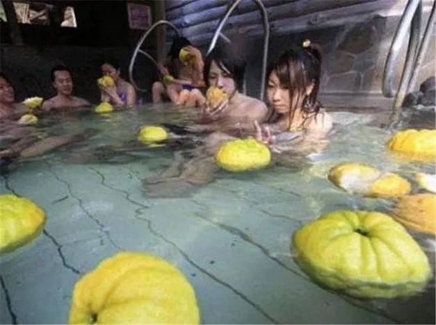 野兔影院的相关介绍