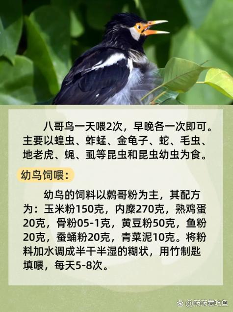 久久午夜激情的相关介绍