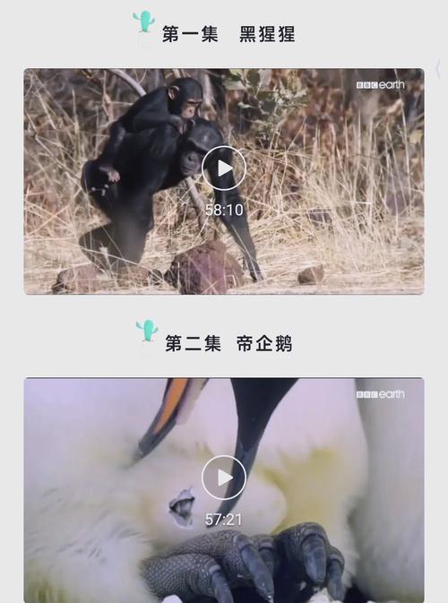 润顶影院的相关介绍