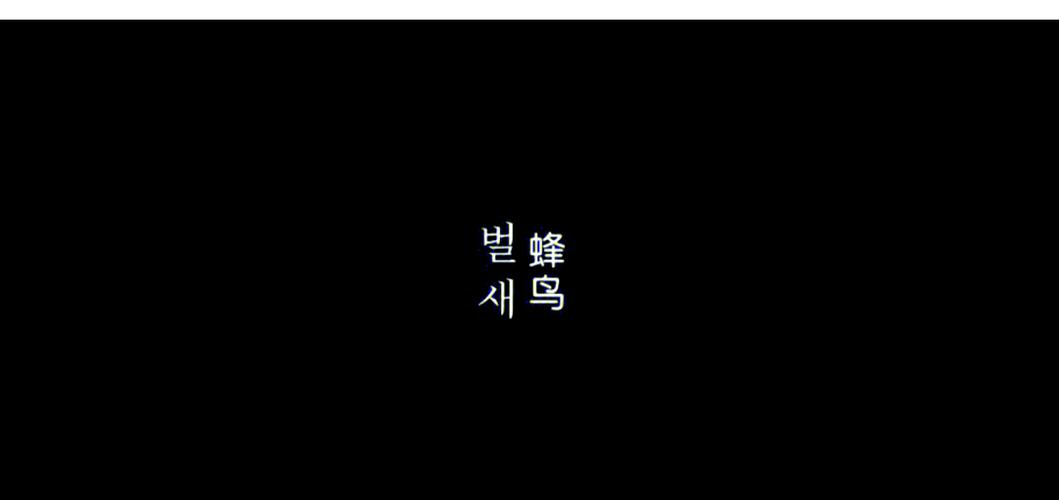禁止18进入网站的相关介绍