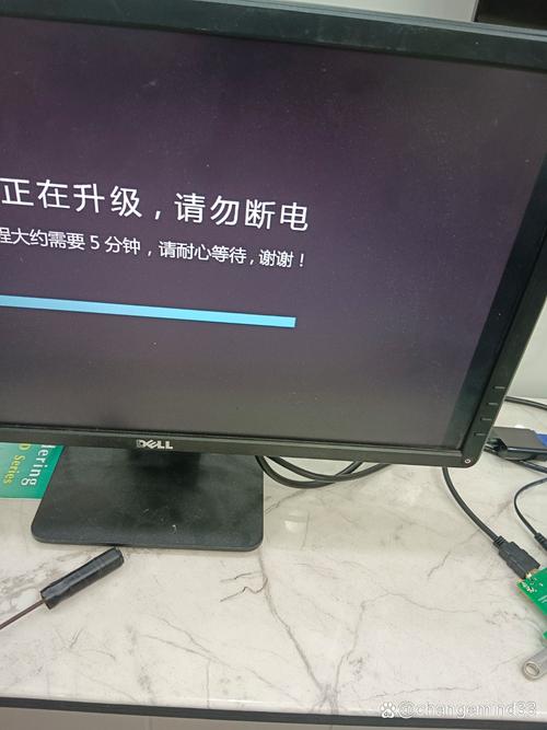 调教骚货bl高h的相关介绍