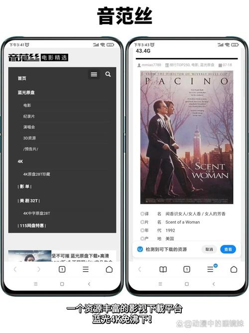 八哥网毛片的相关介绍