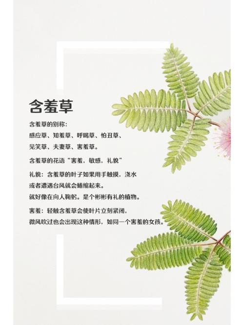 新街口电影院的相关介绍