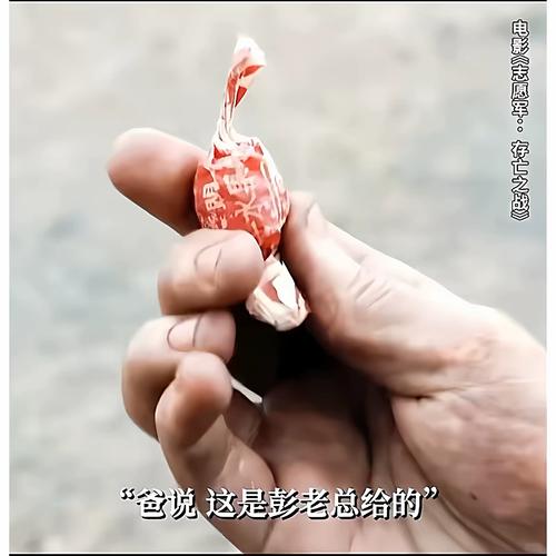 操死你白浆的相关介绍