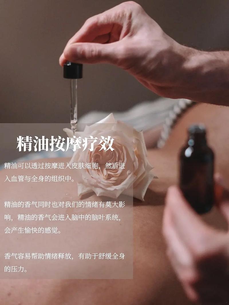 2022电影院上映的电影的相关介绍