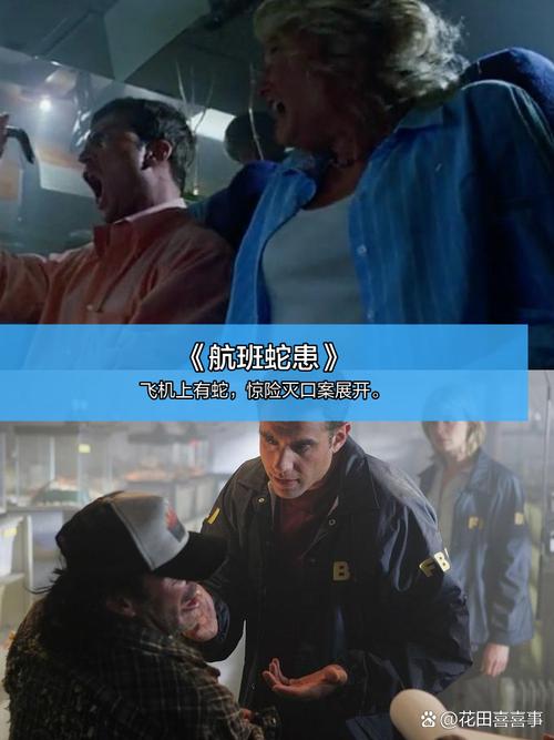 操出白浆在线的相关介绍