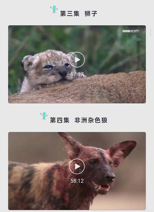 神马影院九的相关介绍