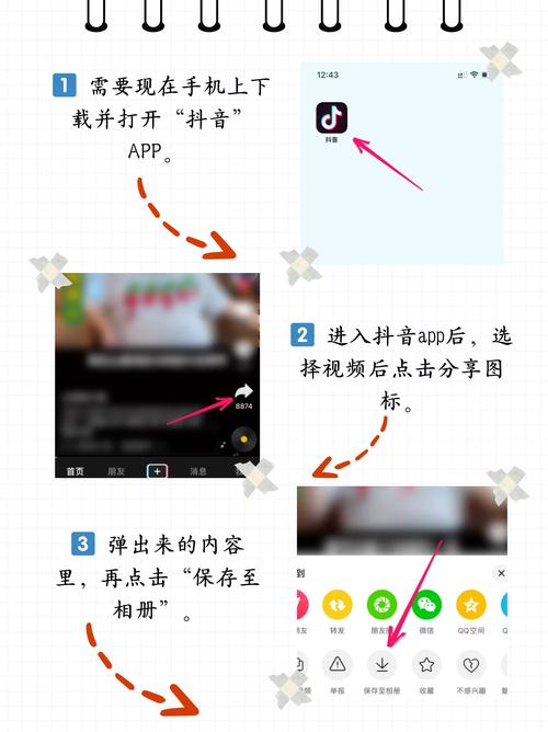 美女xx白浆的相关介绍