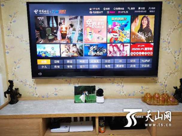 4o一50一60老妇毛片的相关介绍