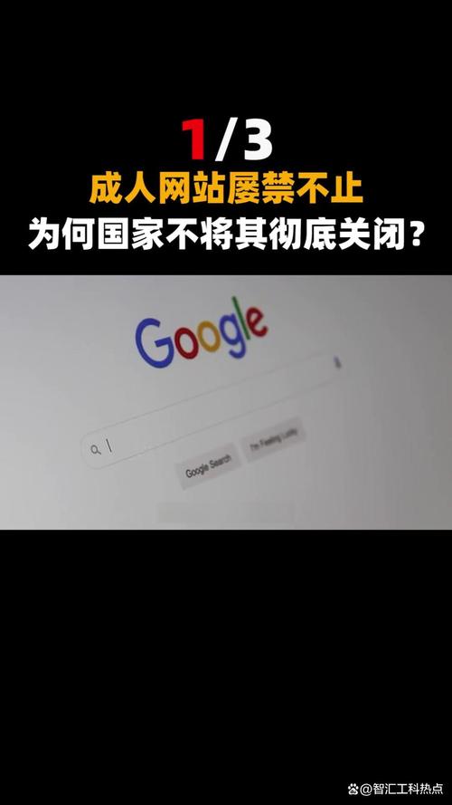 久久激情精品的相关介绍