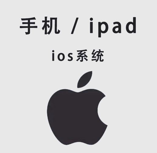 薇薇影院视频免费的相关介绍