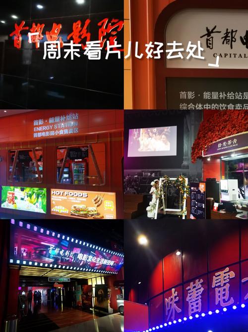 大人看的毛片的相关介绍