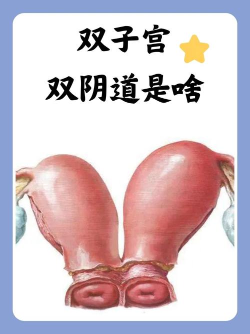 电影院今日放映表的相关介绍