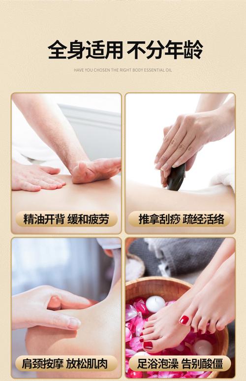 男女啪啪动漫的相关介绍
