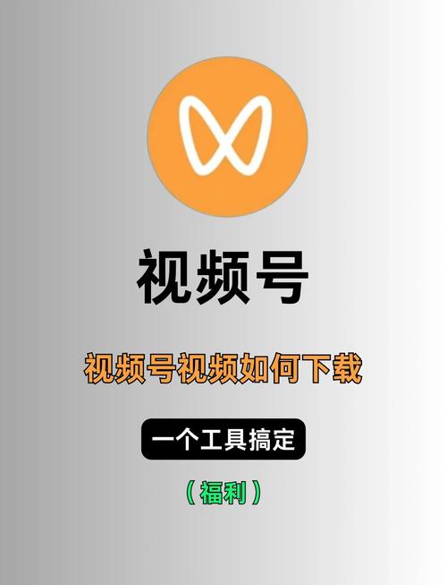 毛片怎么看的相关介绍
