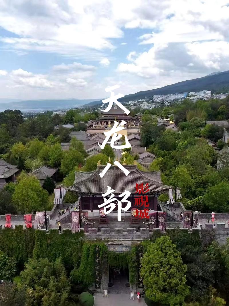 操出白浆的视频的相关介绍