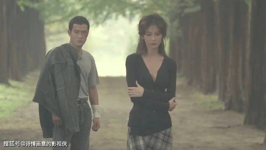 公交车上的毛片的相关介绍