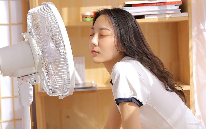 精品久久久无的相关介绍