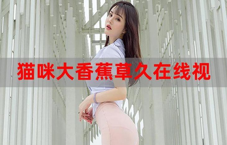 久久久片的相关介绍