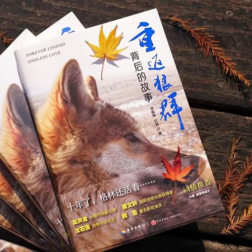 高清毛片基地的相关介绍