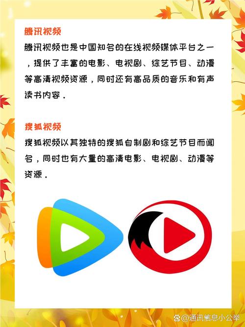 莉莉影院的相关介绍