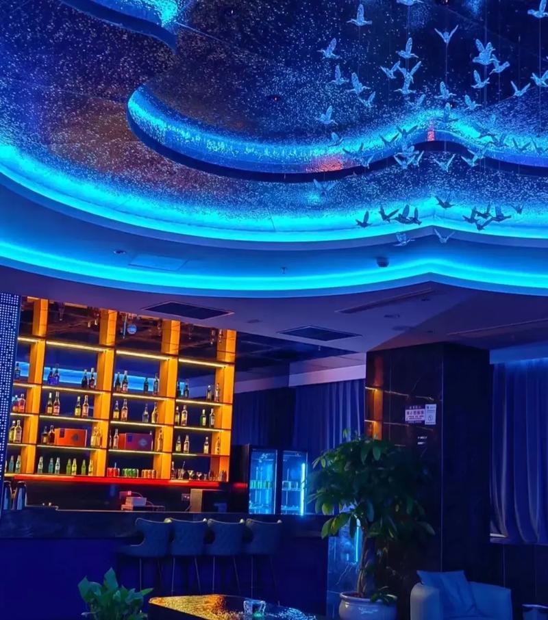 黄爽动漫的相关介绍