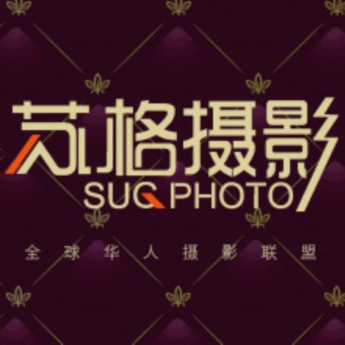 操出白浆av在线的相关介绍