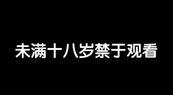 我不卡手机影院的相关介绍