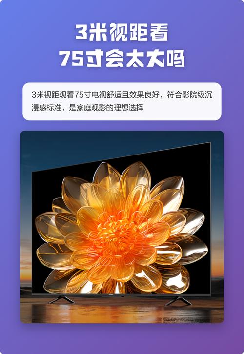 西单影院的相关介绍