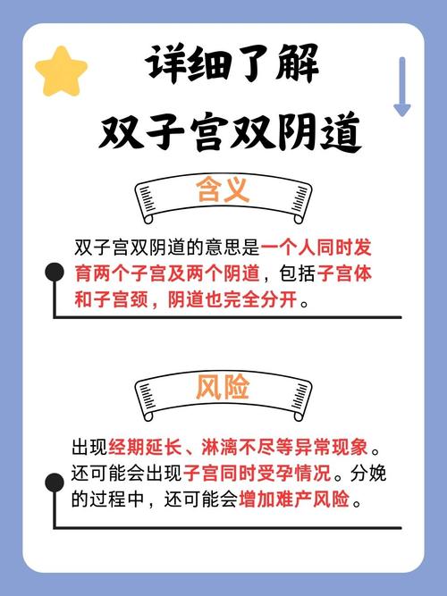 5g手机影院的相关介绍