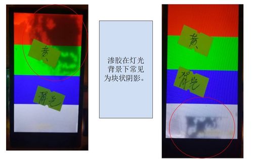 少妇av网的相关介绍