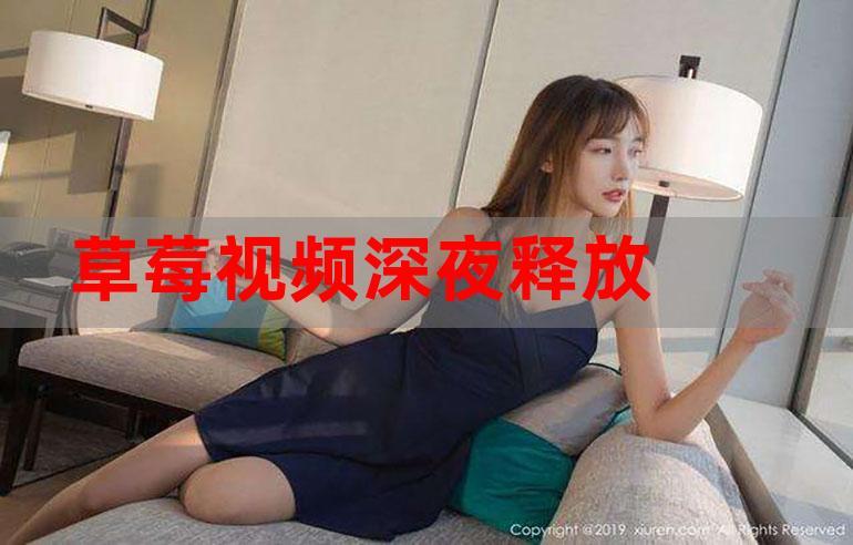 欧美熟妇sevideos的相关介绍