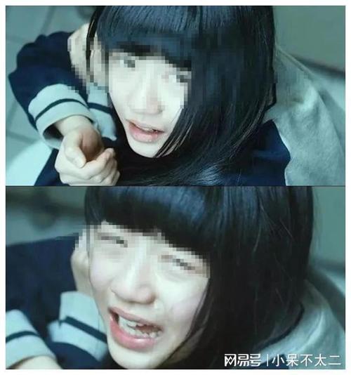 欧美成人无添加视频在线播放的相关介绍