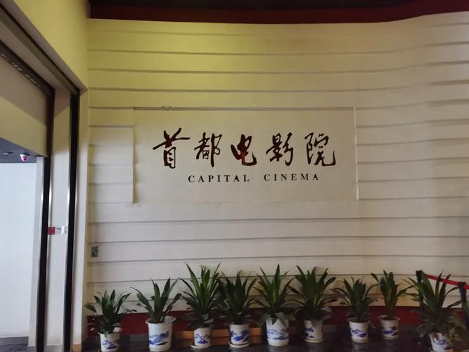 中年人妻,耸动,激烈,官场小说的相关介绍