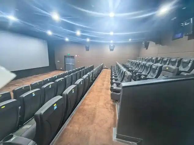 老司机影院毛片的相关介绍