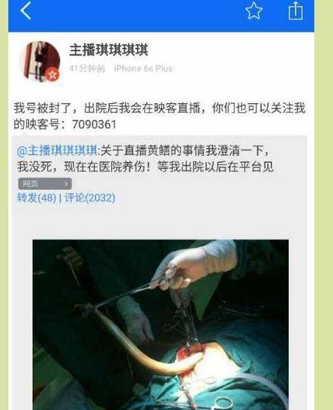 巨乳乱淫的相关介绍