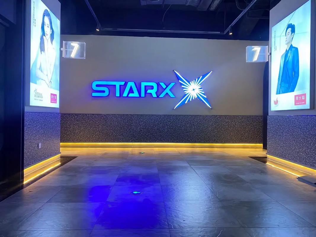 老司机影院天堂伦的相关介绍