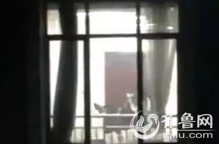把女生操出白浆视频的相关介绍