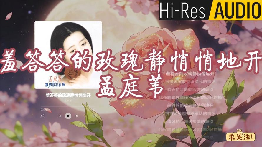 久久久久久黄片成人的相关介绍