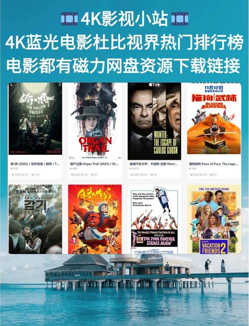 亚洲少妇网址的相关介绍