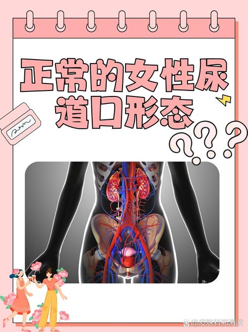 日本熟妇激情网的相关介绍